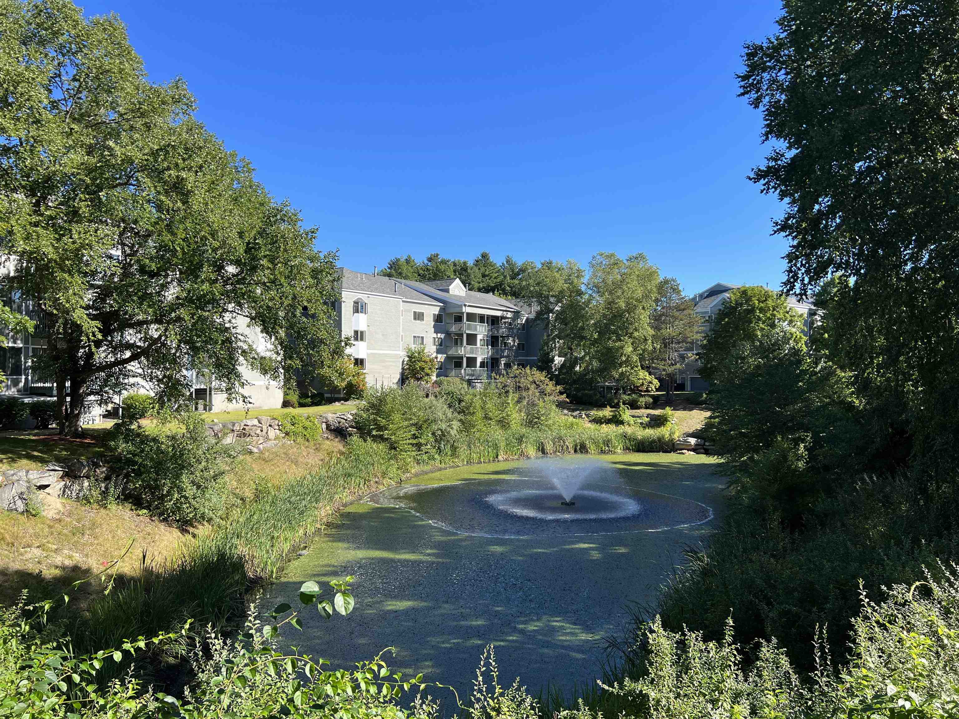 47 Dogwood Drive 105