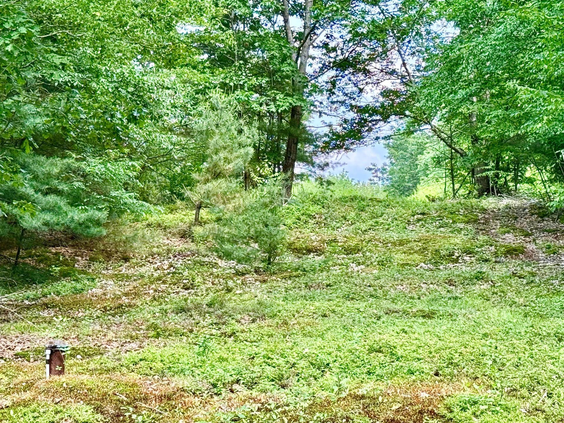 263A Welcome Hill Road