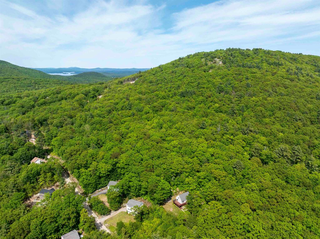 Photo of 19 Wendy Drive, Alton, NH 03810 (MLS # 5084698)