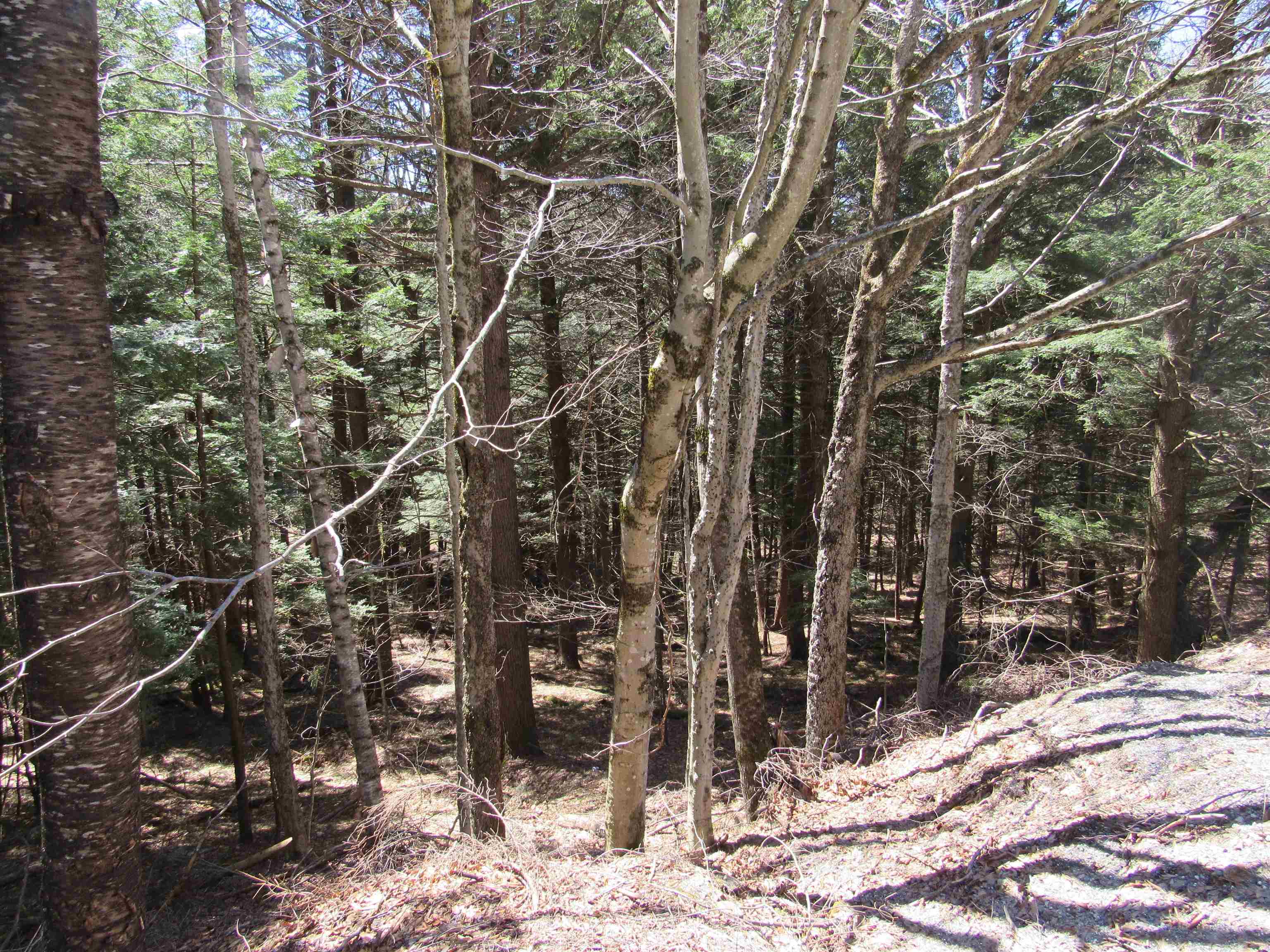 0 Stratton View Road 58