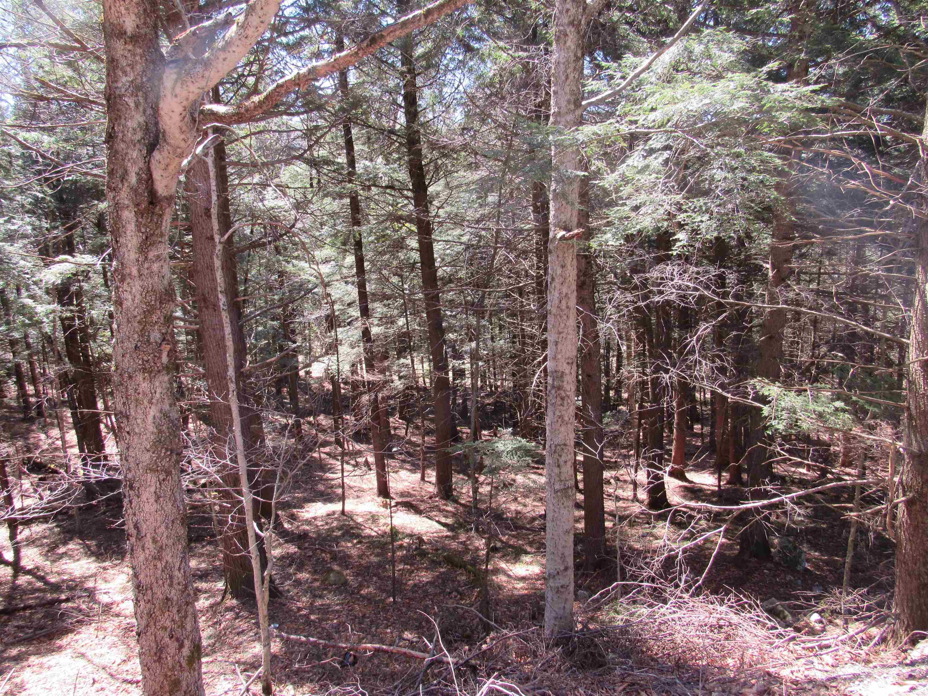 0 Stratton View Road 58