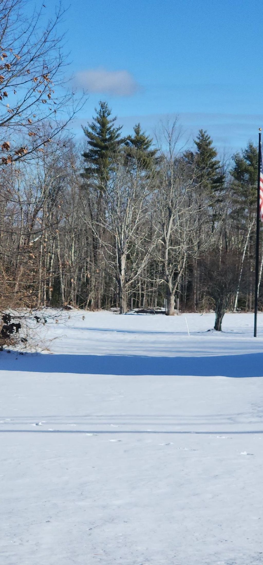 Photo of 0 Salmon Falls Road, Rochester, NH 03868 (MLS # 5073116)