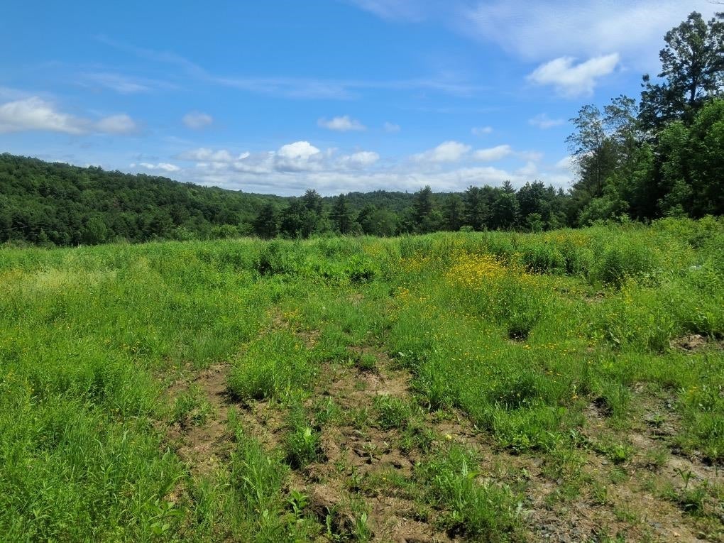 Photo 1 of 32 — 1567 Hollow Road, Monkton, VT 05469
