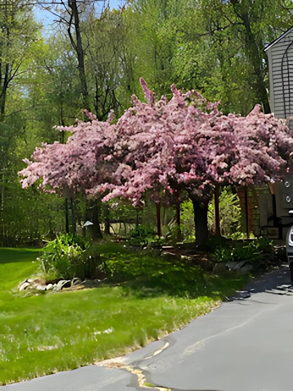 Derry, New Hampshire 03038, United States, 3 Bedrooms Bedrooms, ,2 BathroomsBathrooms,Residential,Active,96046