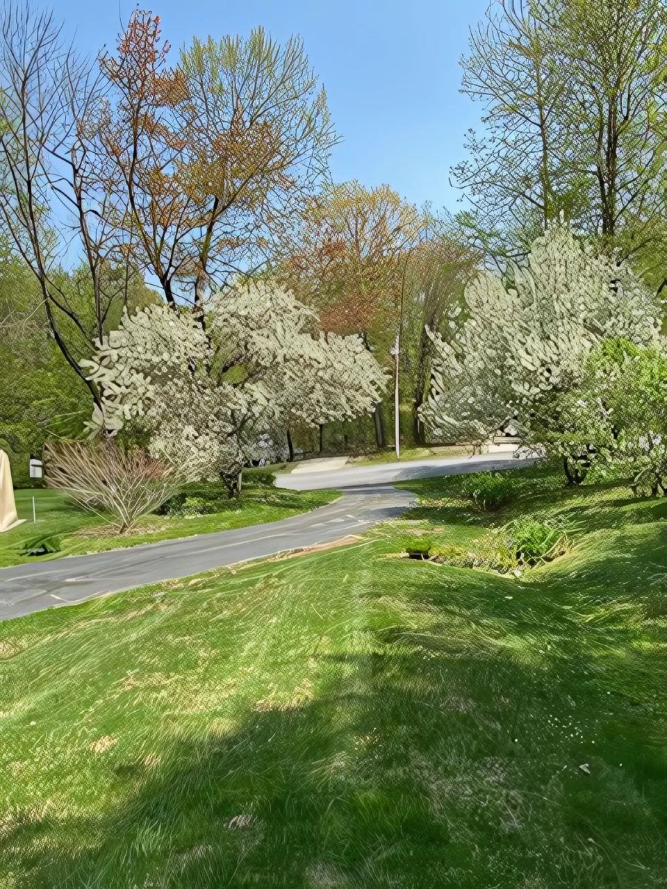 Derry, New Hampshire 03038, United States, 3 Bedrooms Bedrooms, ,2 BathroomsBathrooms,Residential,Active,96046