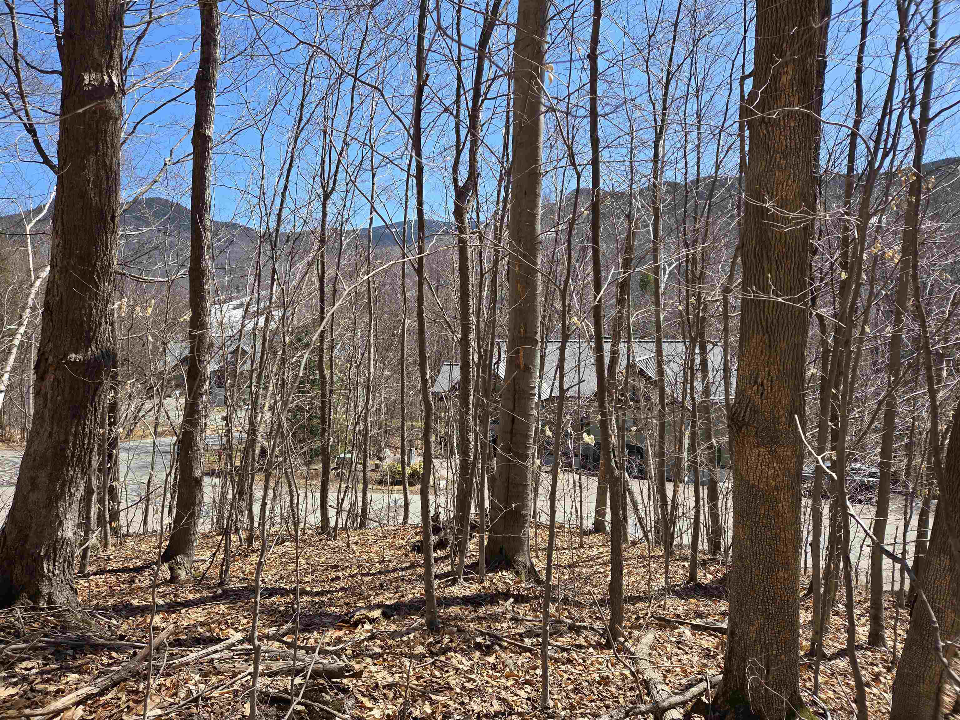 58 Westview Road