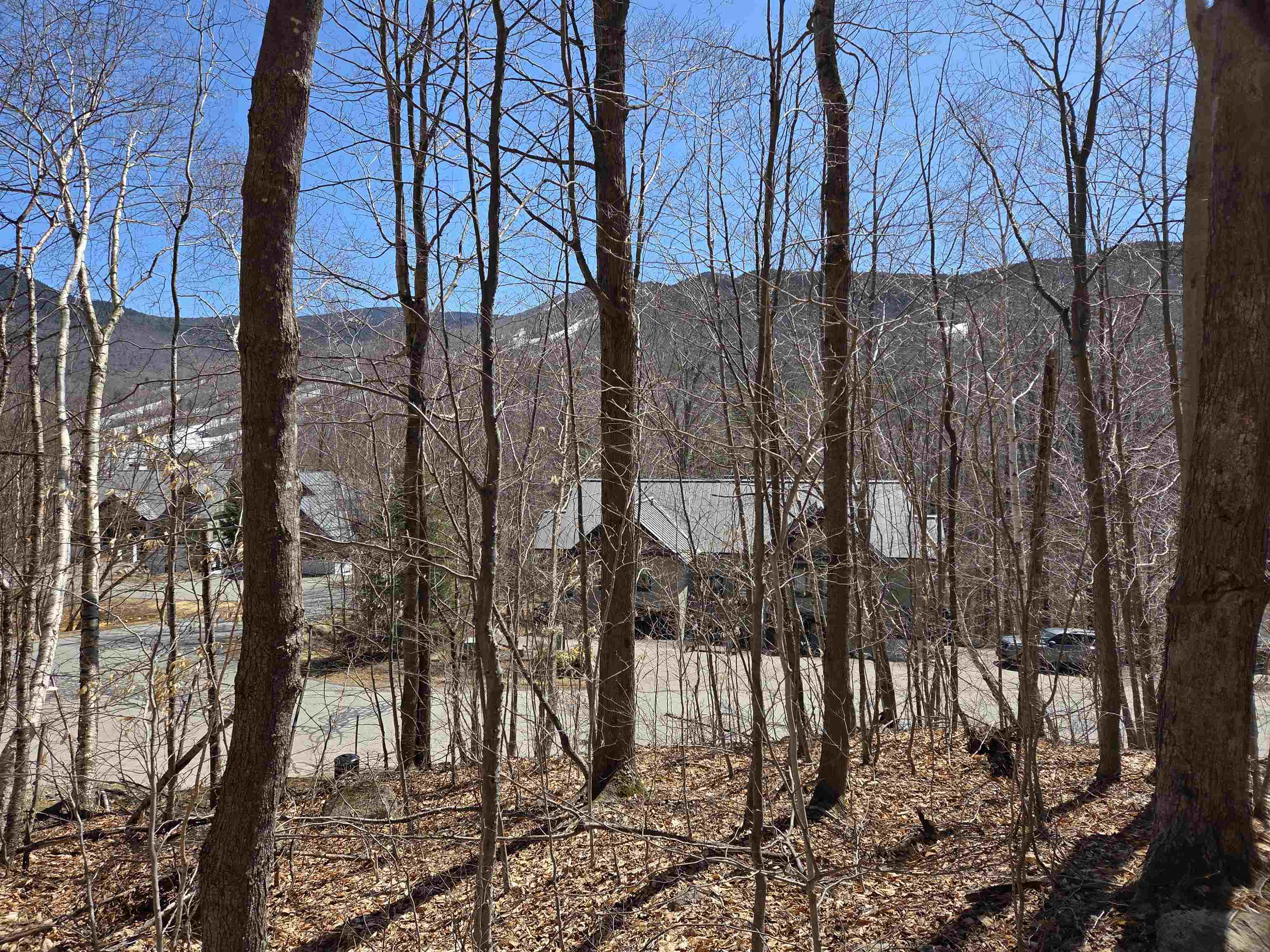 58 Westview Road