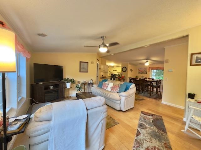 6 Roland Drive