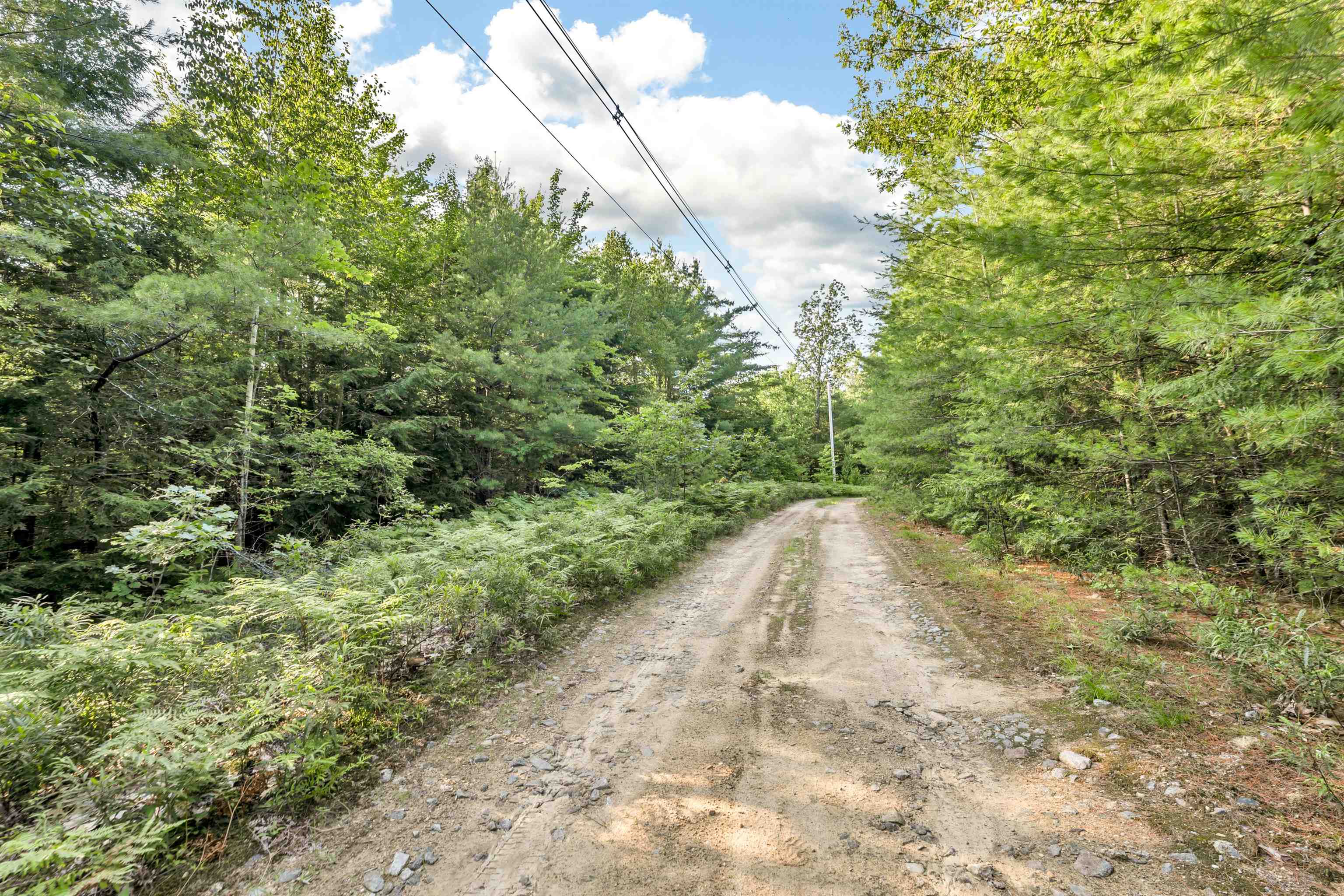 290 Pine Hill Road