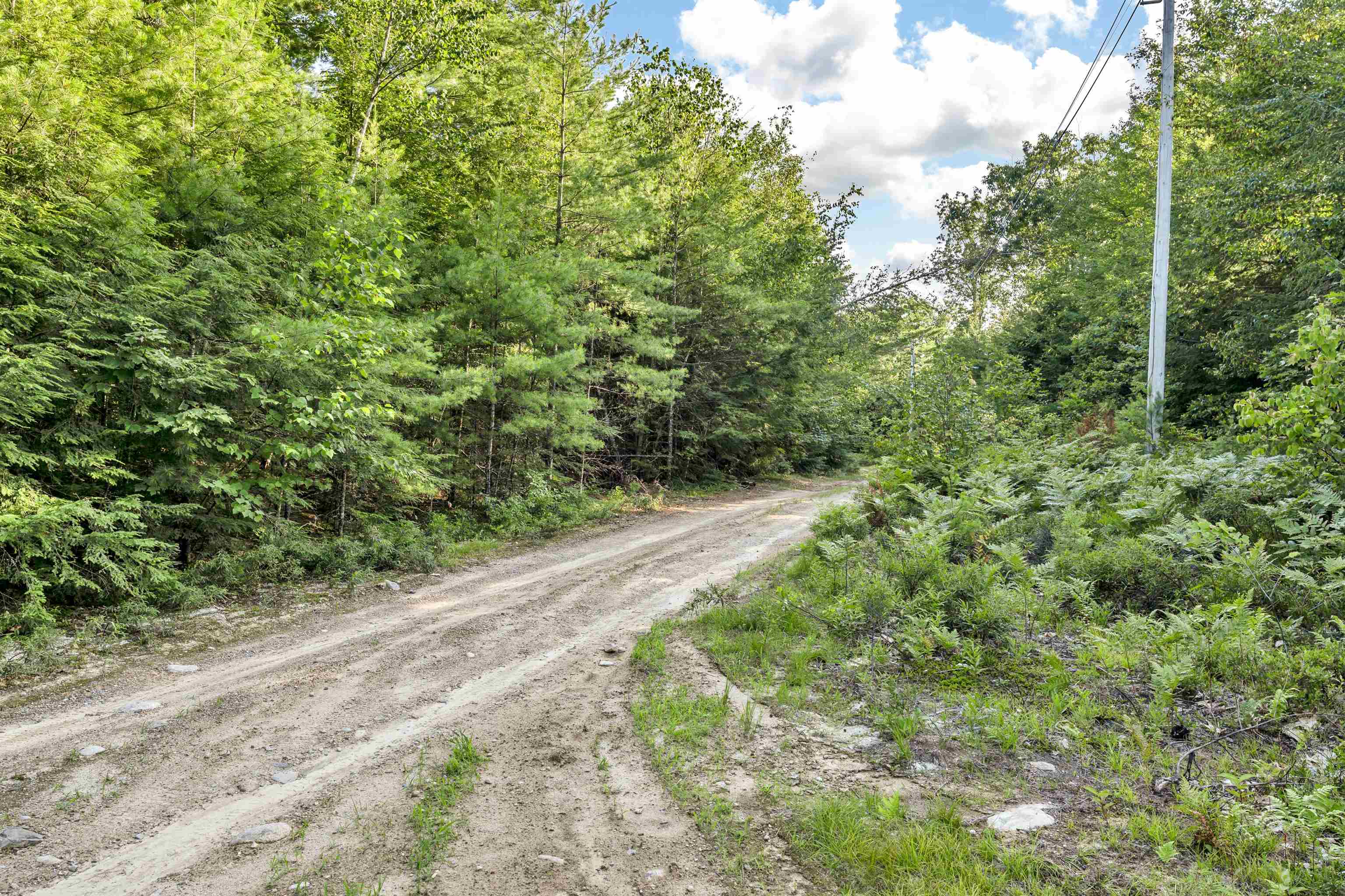290 Pine Hill Road