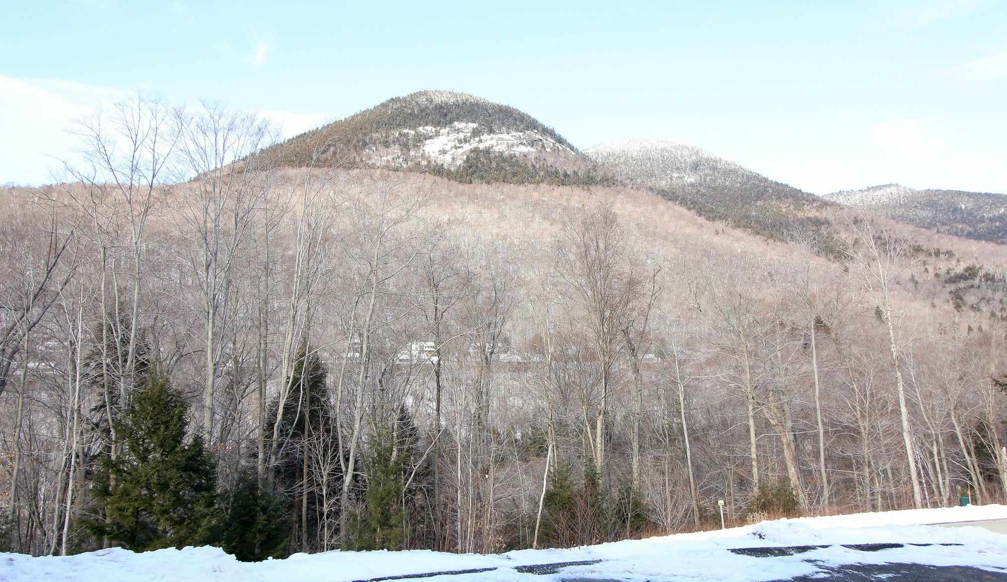 4 Buck Road