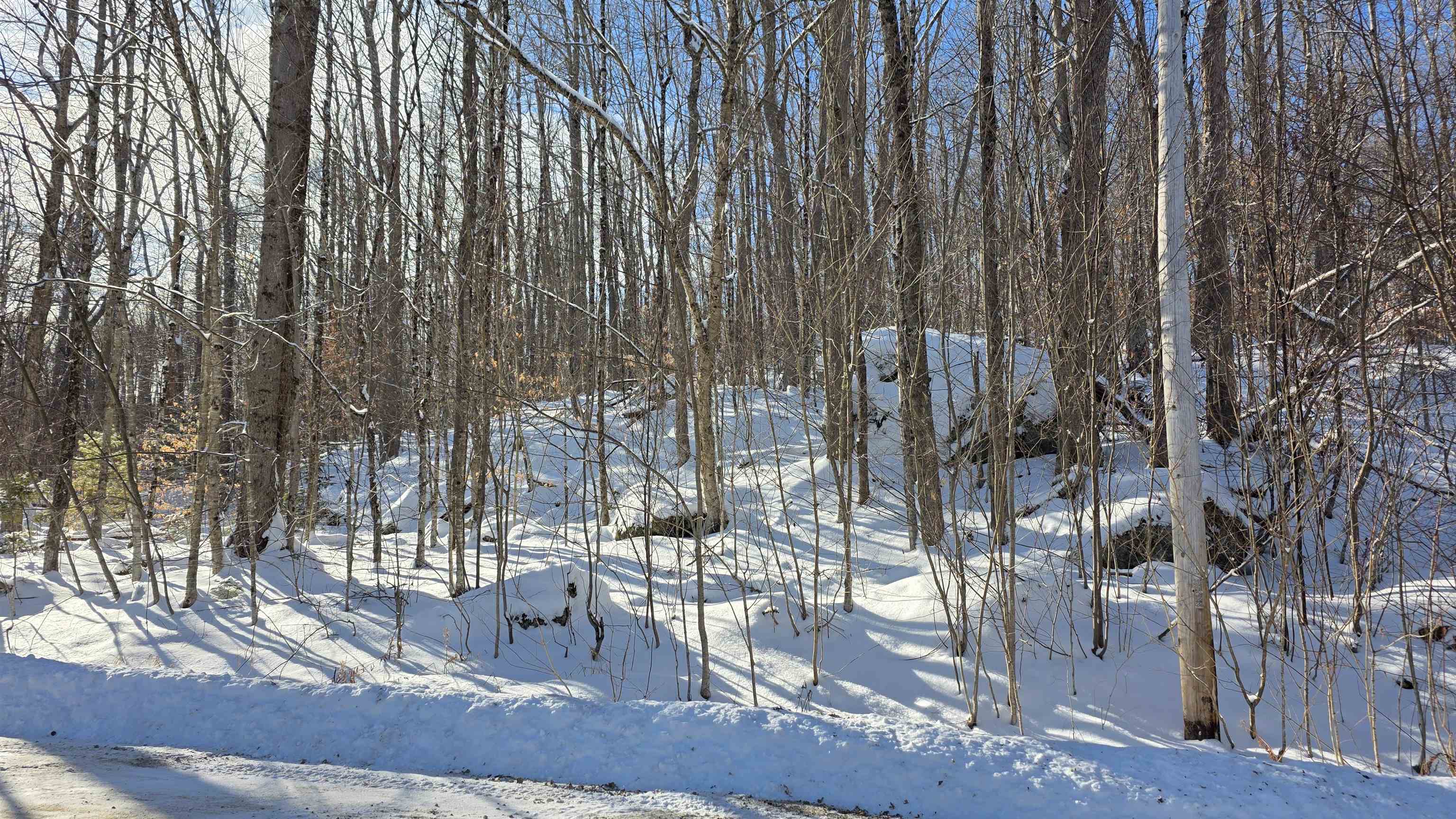 M111 L24&25 Tigola Trail