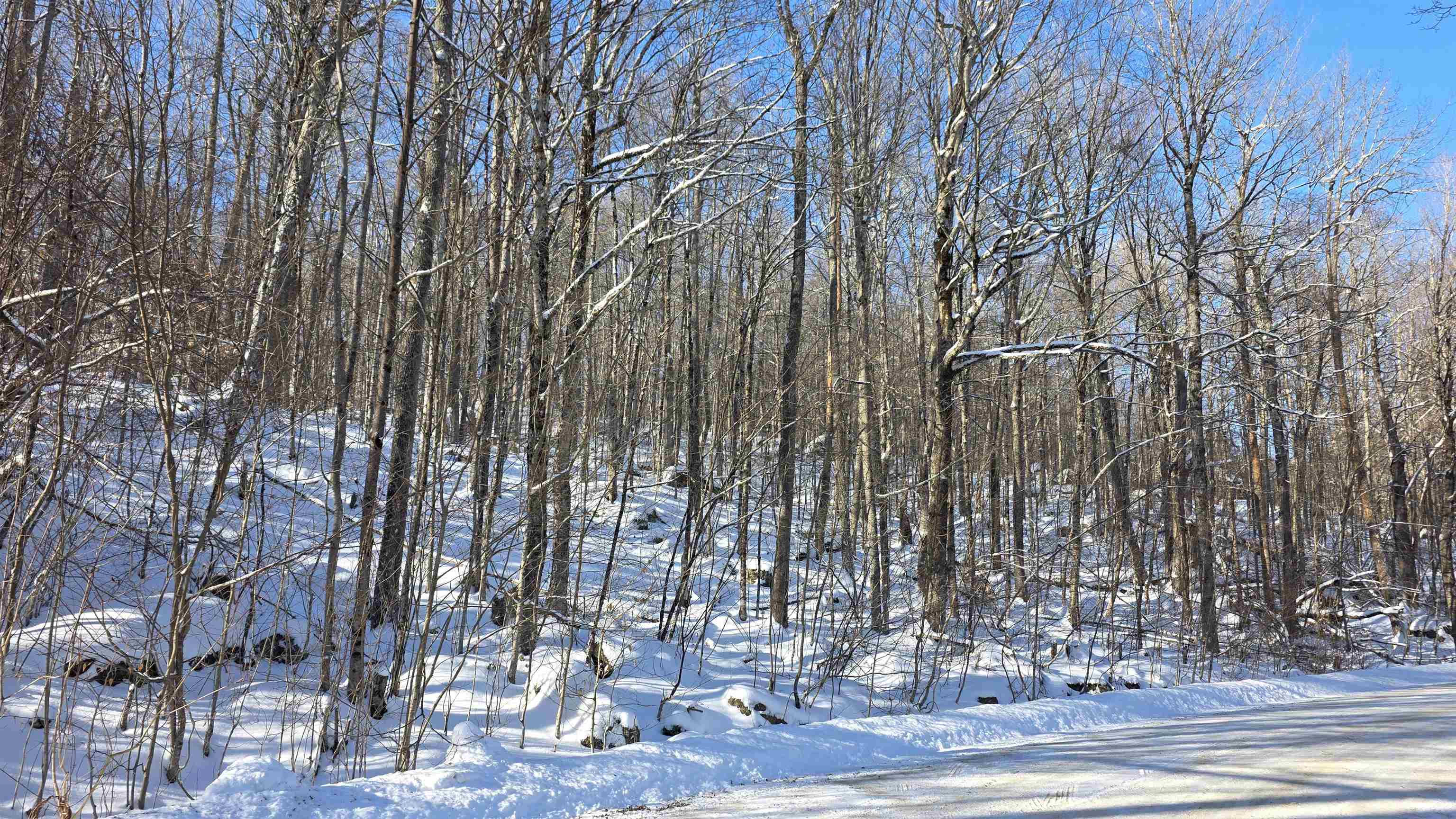 M111 L24&25 Tigola Trail