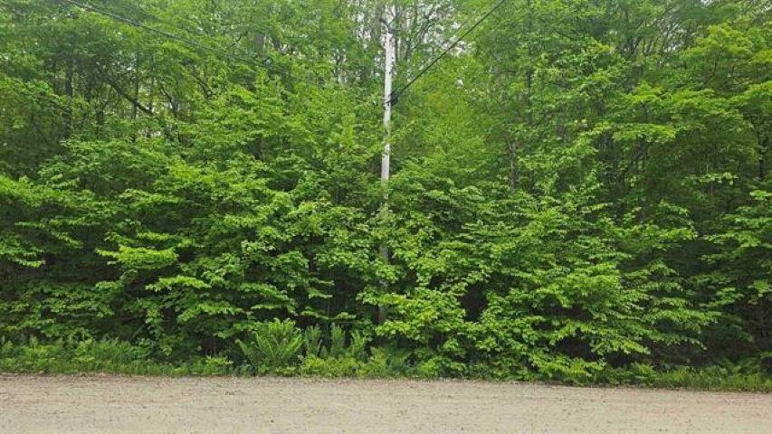 M111 L24&25 Tigola Trail