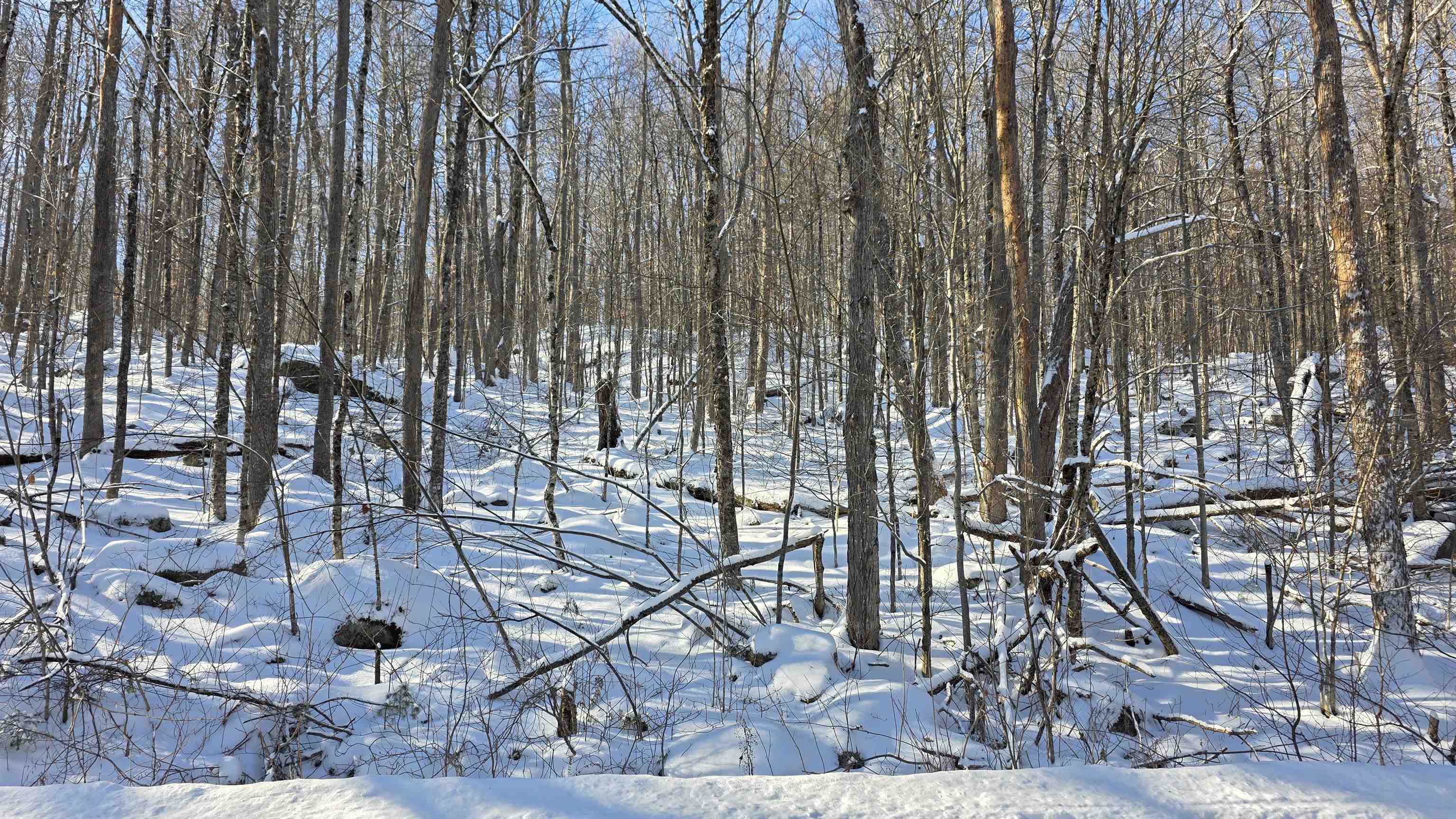 M111 L24&25 Tigola Trail