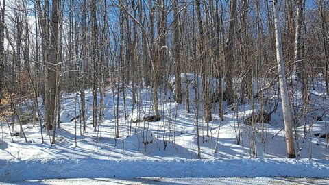 M111 L24&25 Tigola Trail Stoddard NH 03464