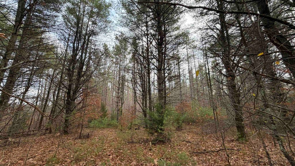 Photo of 00 Deer Meadow Road, Webster, NH 03303 (MLS # 5069463)