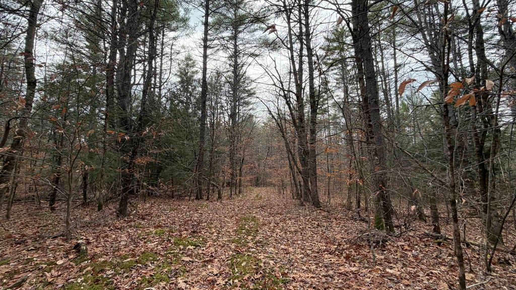 Photo of 00 Deer Meadow Road, Webster, NH 03303 (MLS # 5069463)
