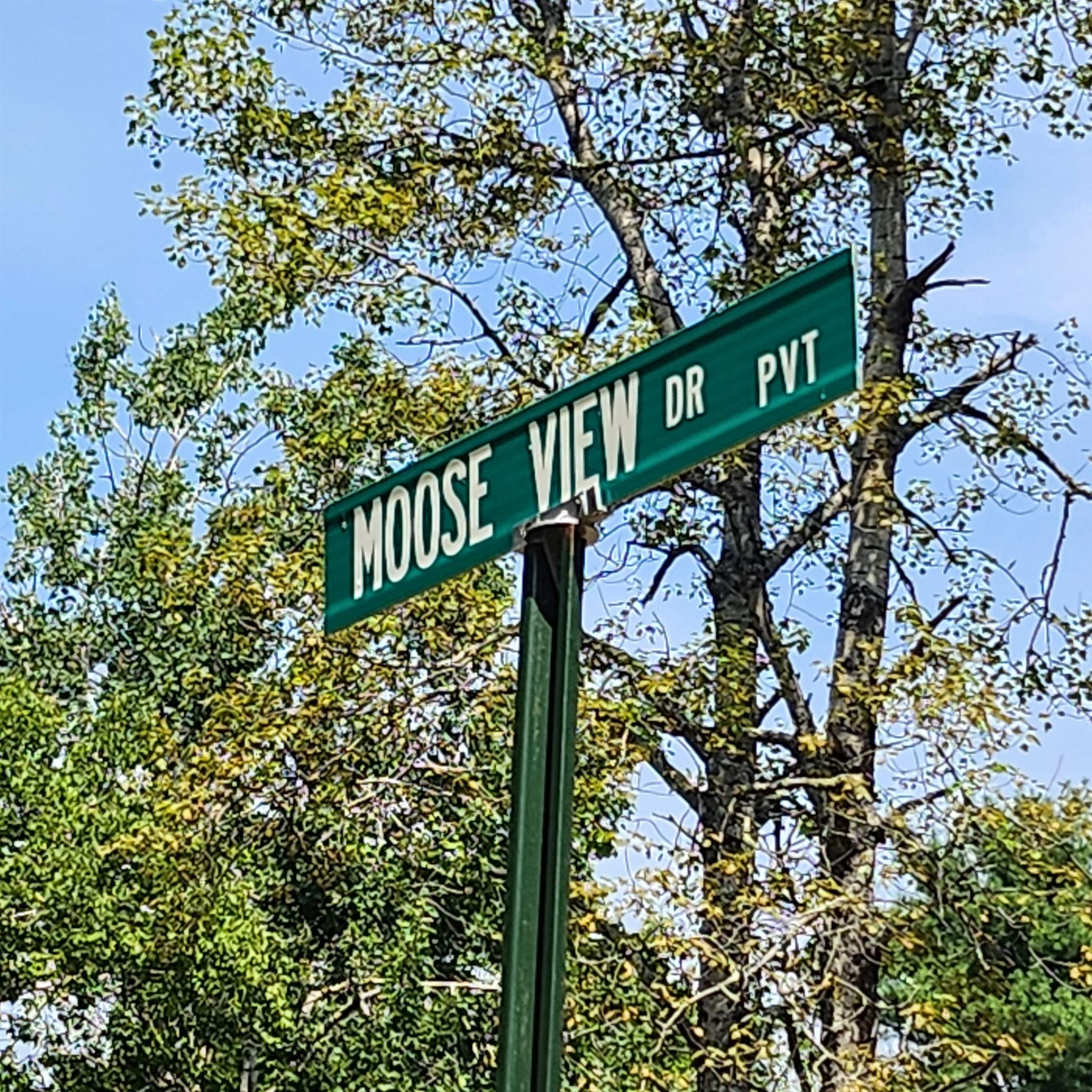 153 Mooseview Drive
