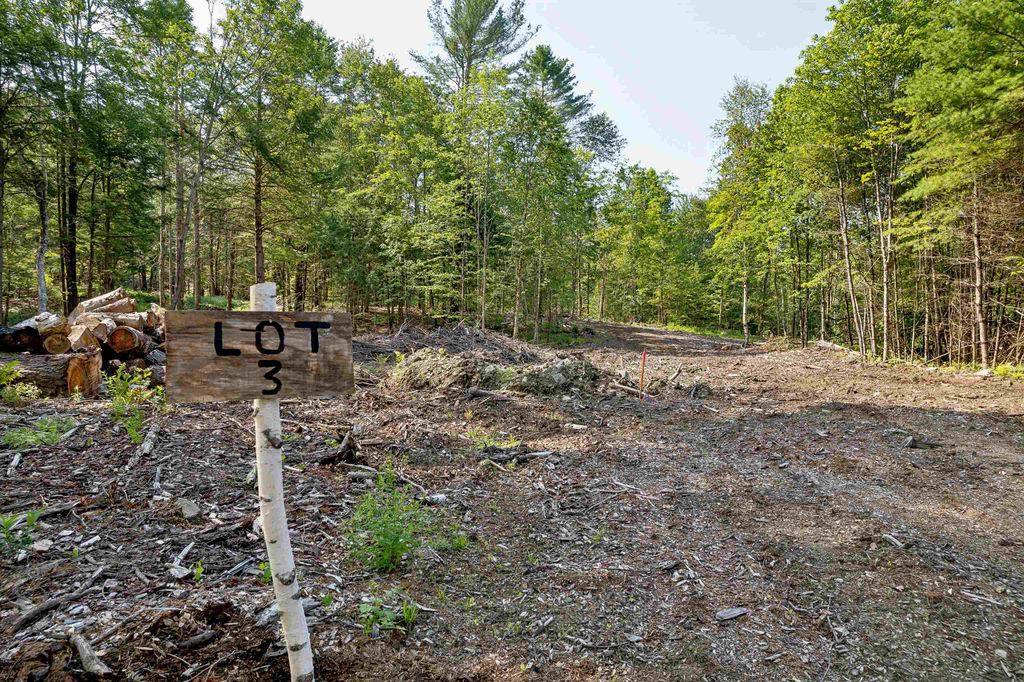 Photo of 00 Court Street #3, Haverhill, NH 03765 (MLS # 5007488)