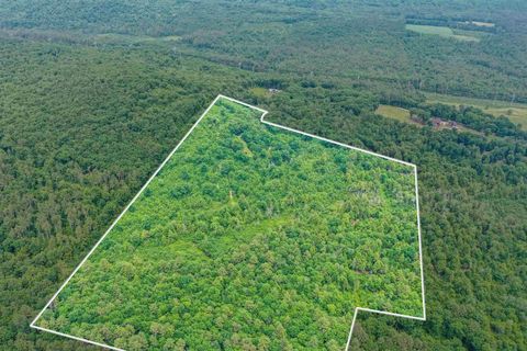 231 Mutton Road Webster NH 03303