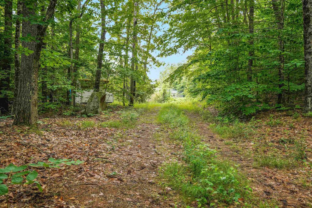 Photo of 231 Mutton Road, Webster, NH 03303 (MLS # 5047597)