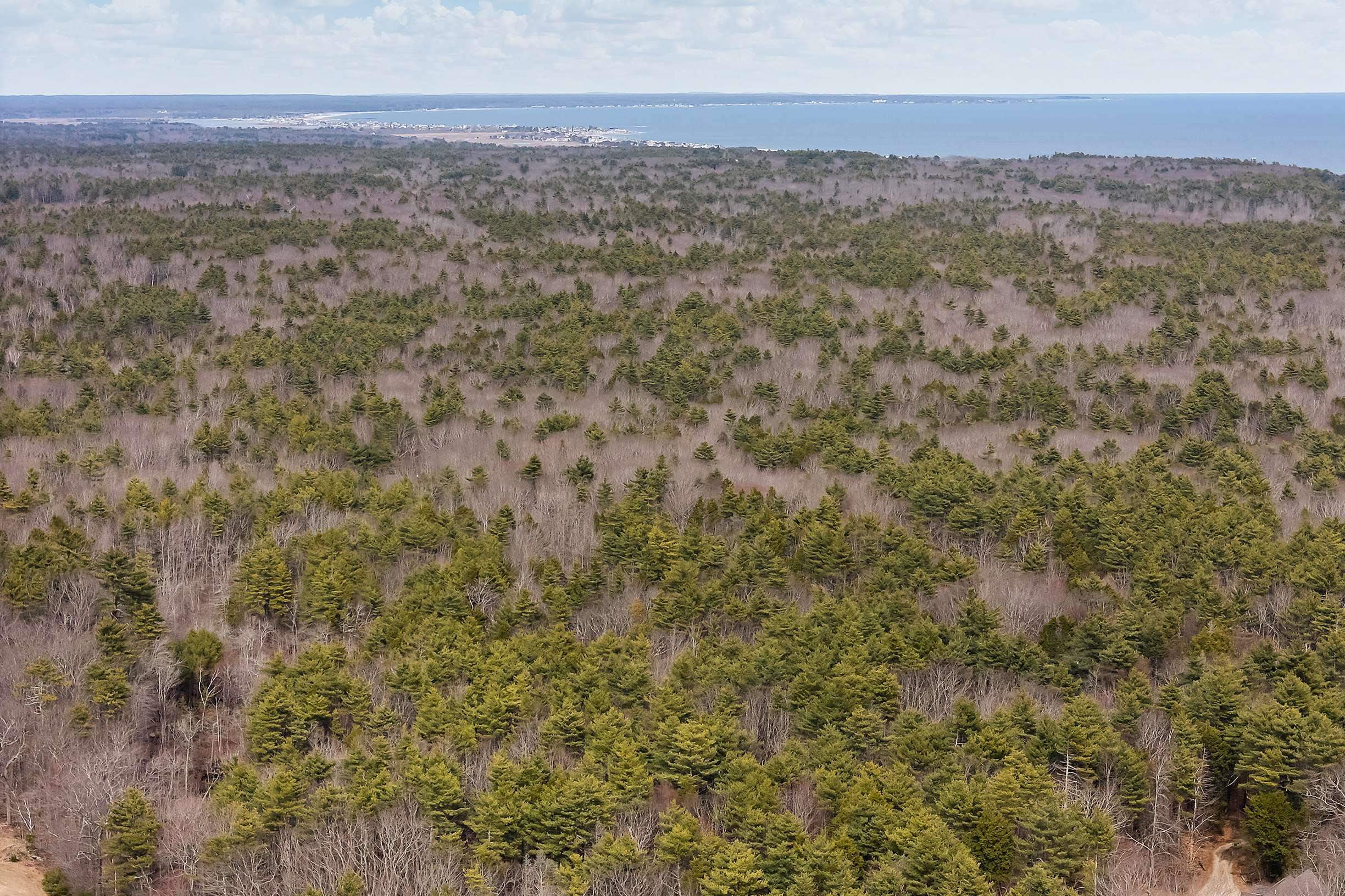 25 Marsh Brook Lane