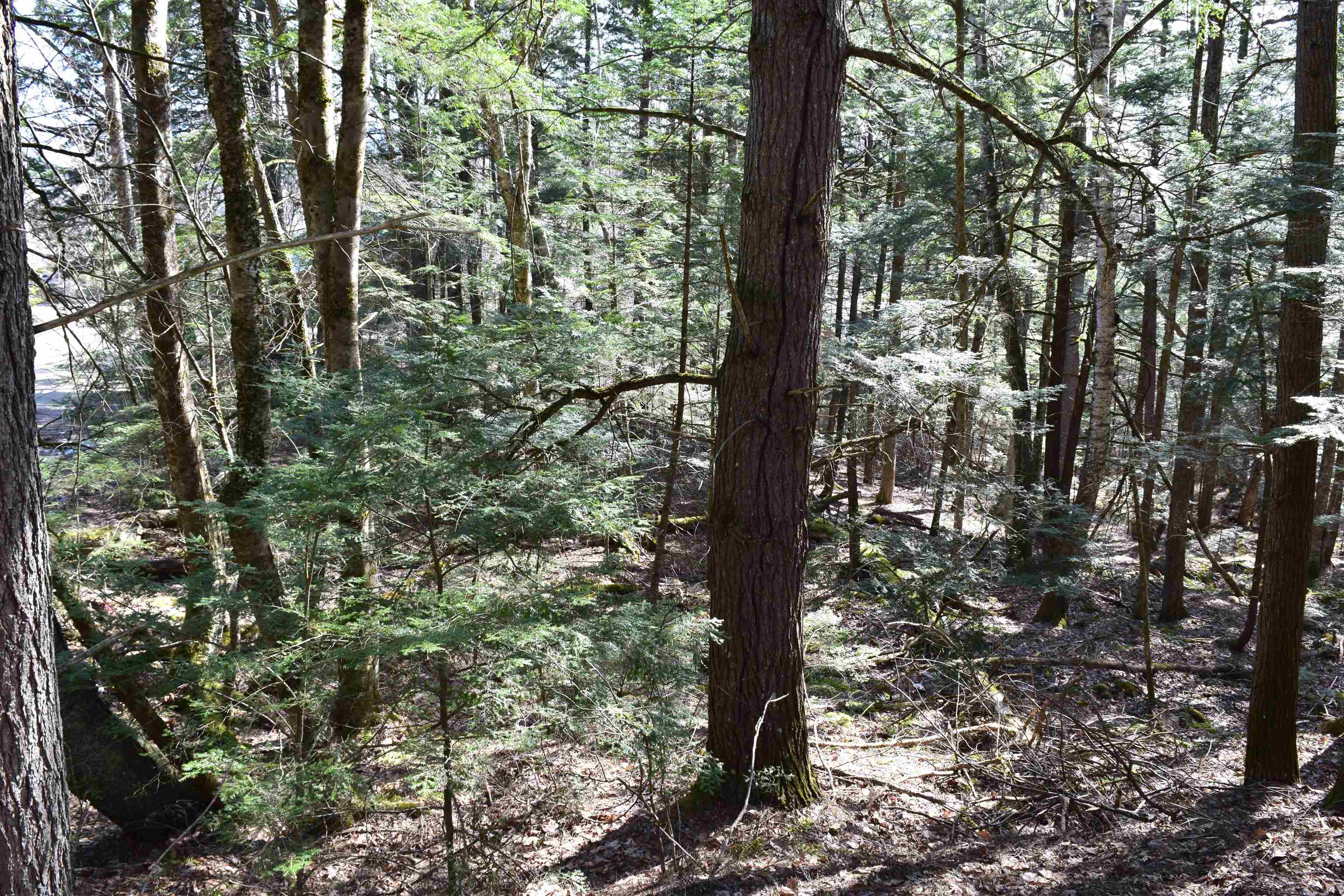 Lot 14 Hanover Drive