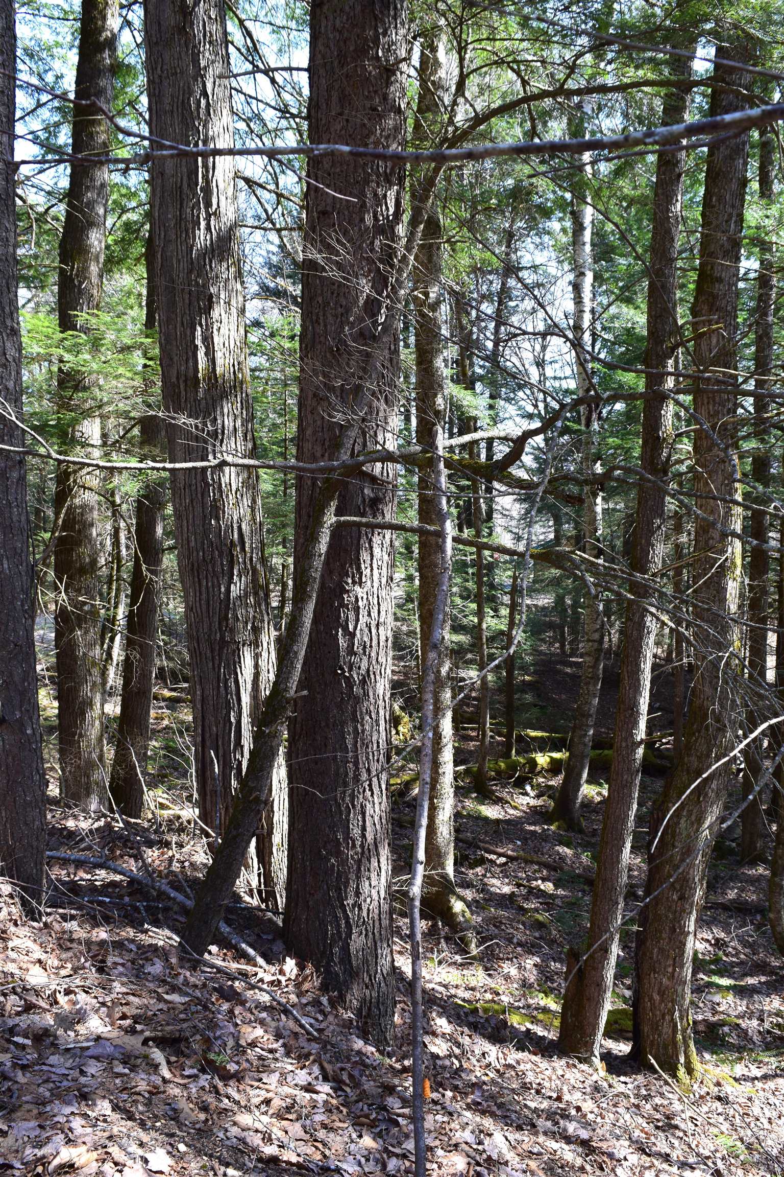 Lot 14 Hanover Drive