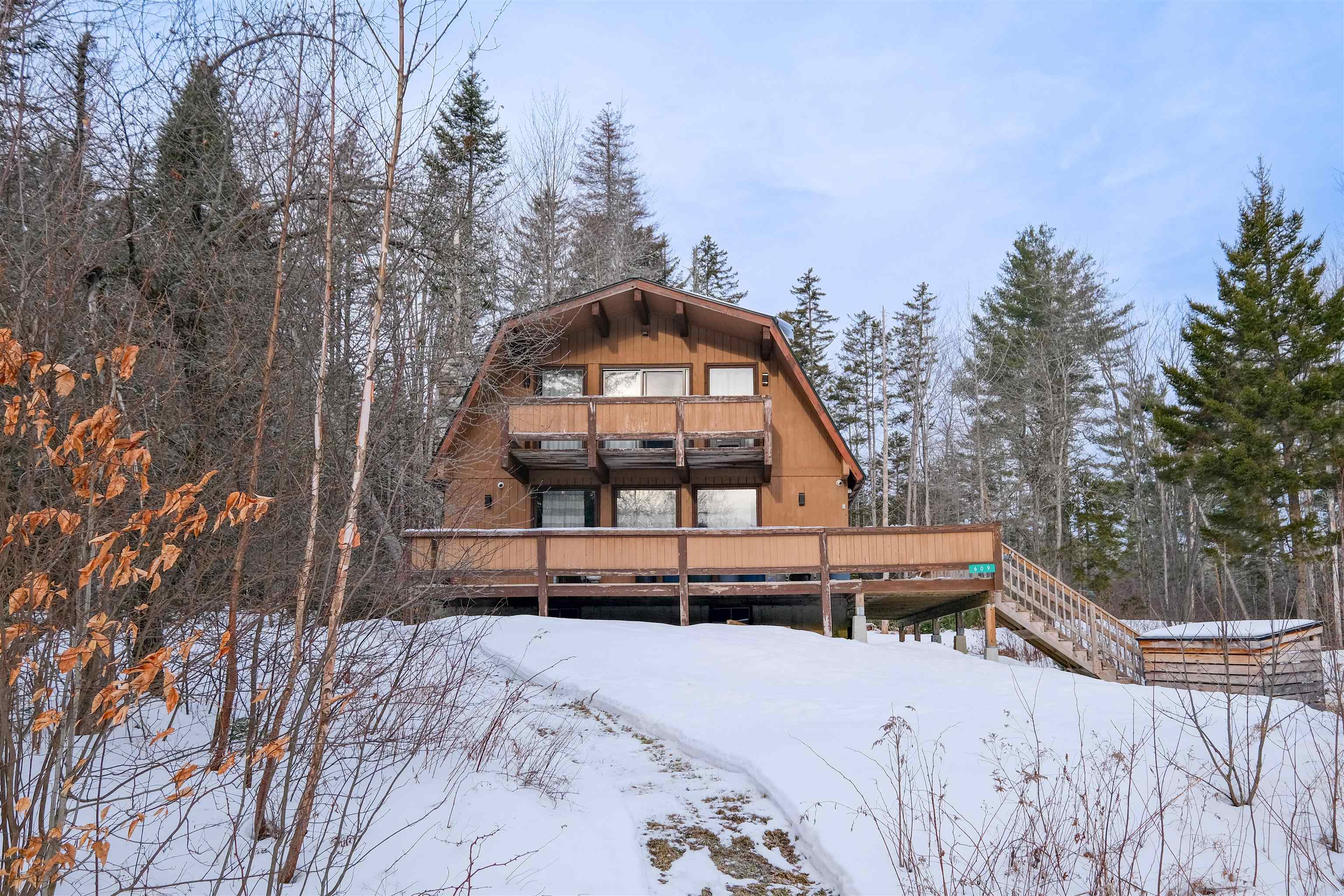 Photo 1 of 39 — 609 Alpine Drive, Mount Holly, VT 05758