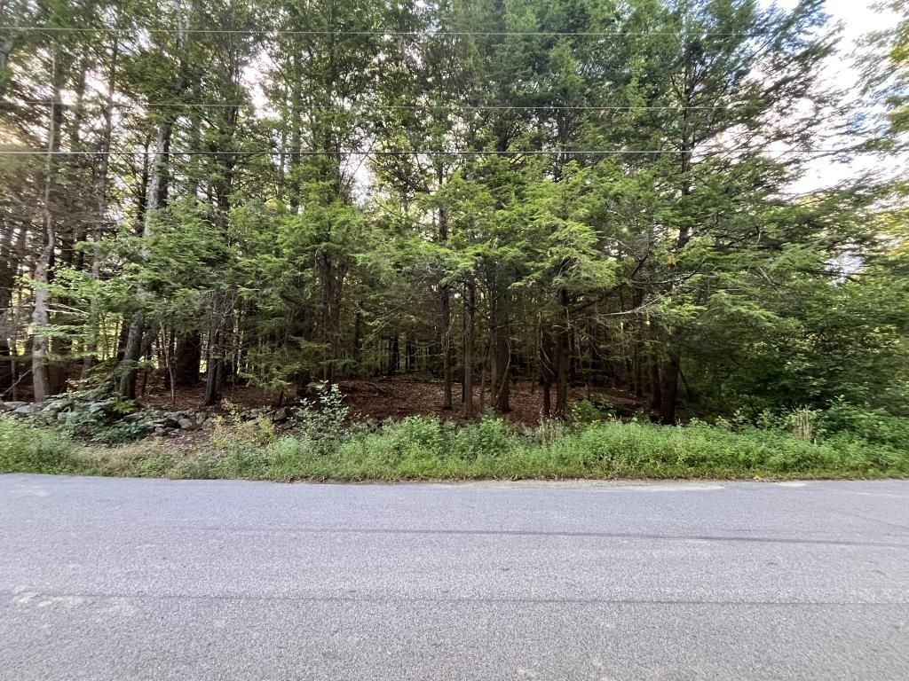Photo of 199 Bryant Road, Jaffrey, NH 03452 (MLS # 5024945)