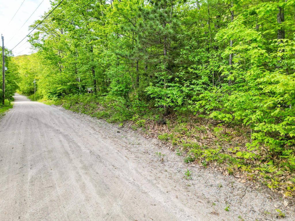 Photo of 49 Huttwil Drive, Madison, NH 03849 (MLS # 5078025)