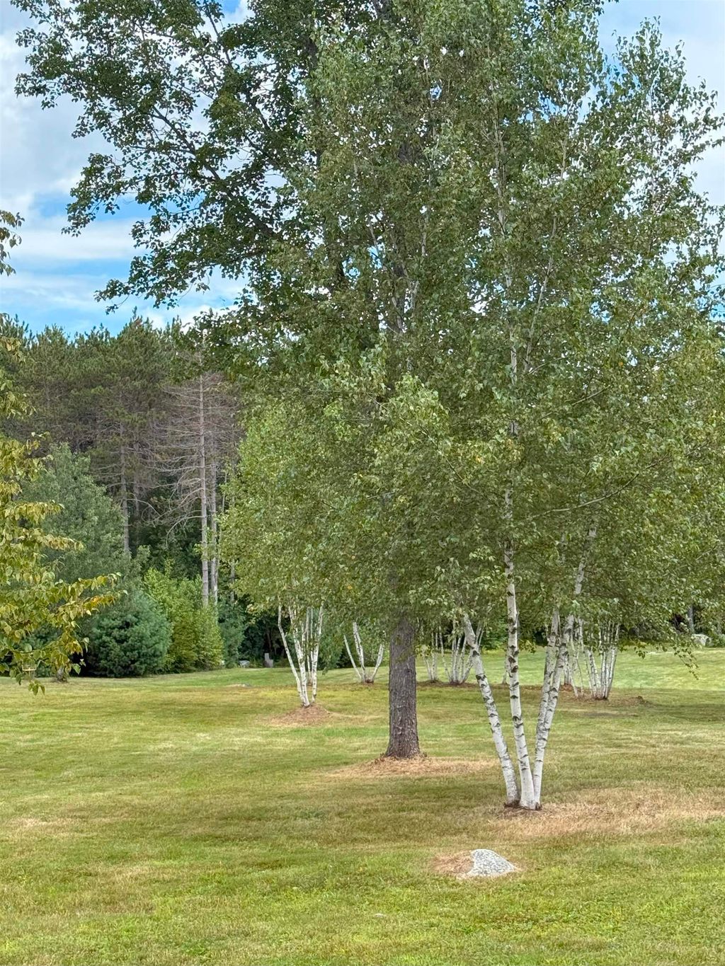 Photo of 0 Warner Road #40, Warner, NH 03278 (MLS # 4988992)
