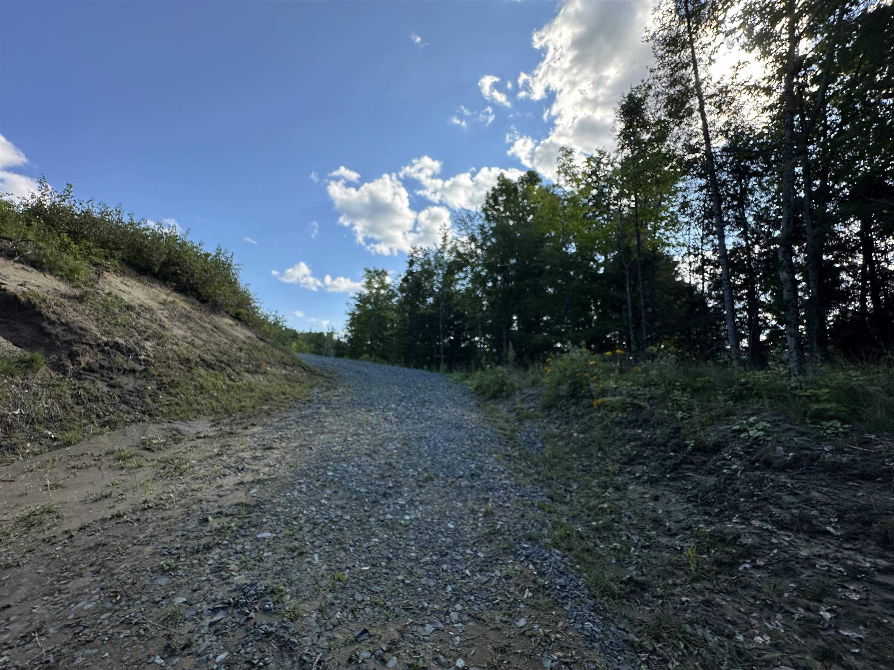 St. Johnsbury, Vermont 05819, United States, ,Land,Active,48594