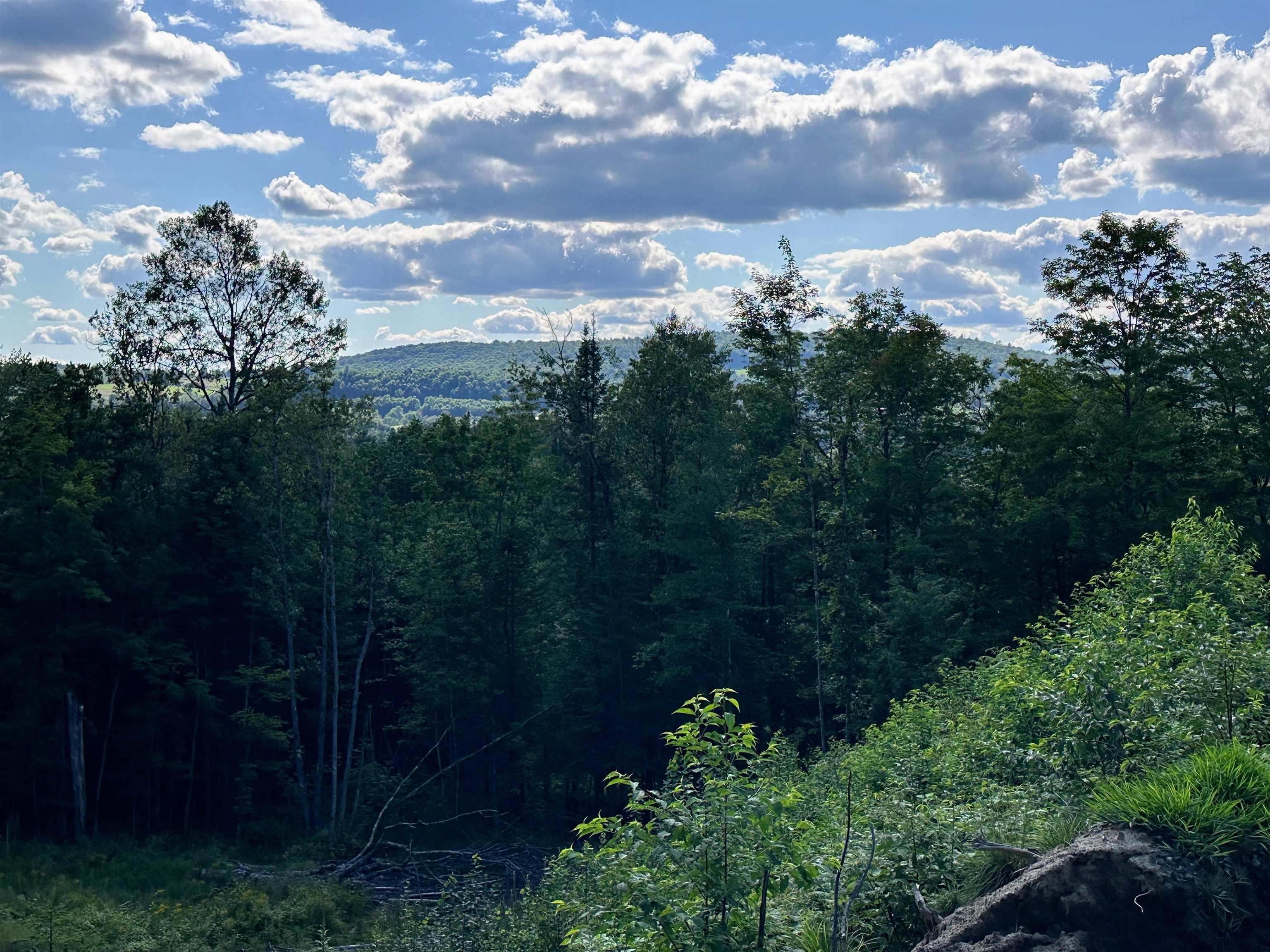 St. Johnsbury, Vermont 05819, United States, ,Land,Active,48594