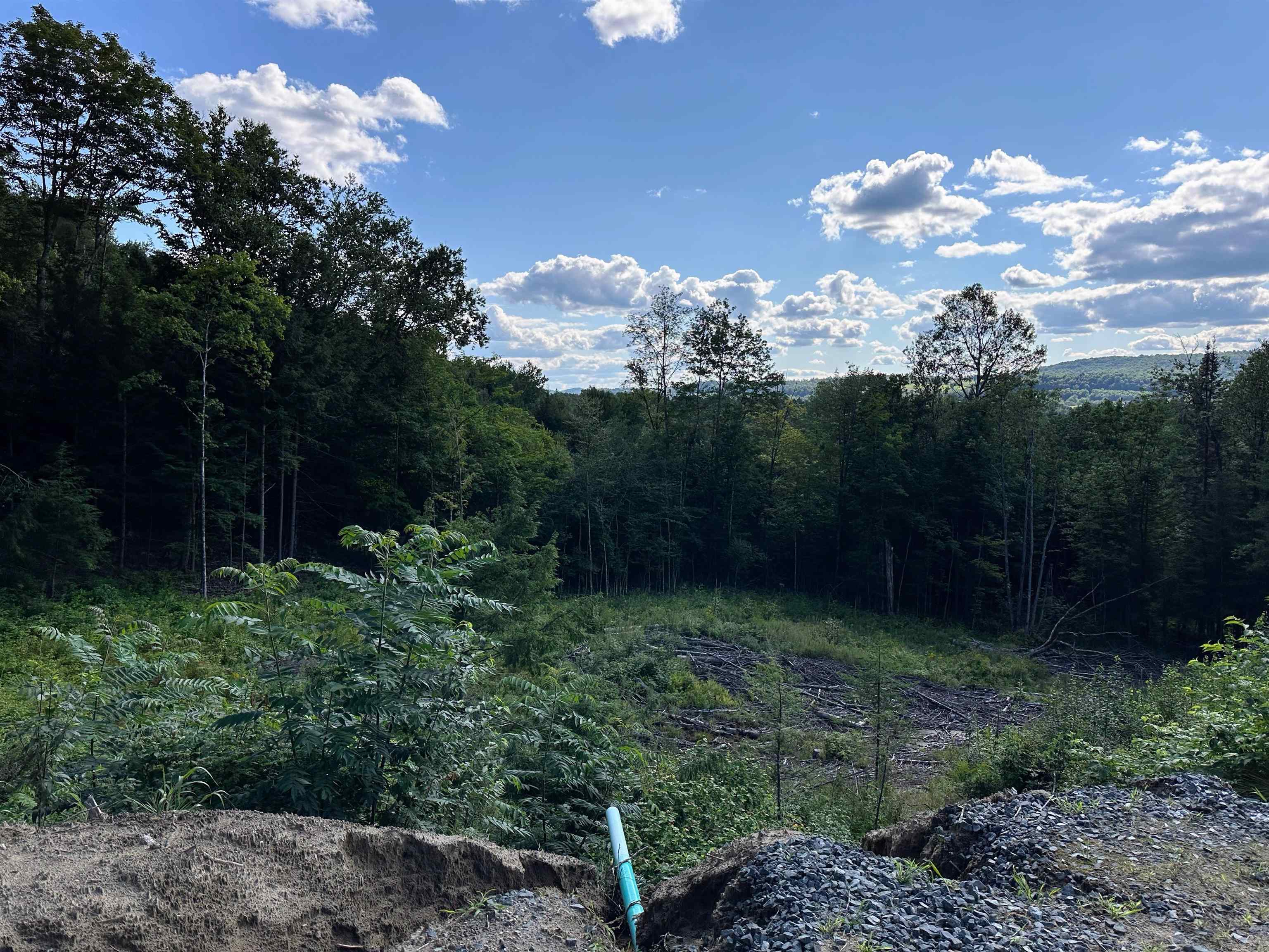 St. Johnsbury, Vermont 05819, United States, ,Land,Active,48594