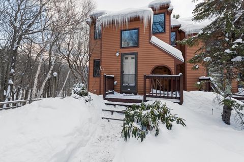 Photo of 57 Richardson Trail #1, Campton, NH 03223 (MLS # 5076340)