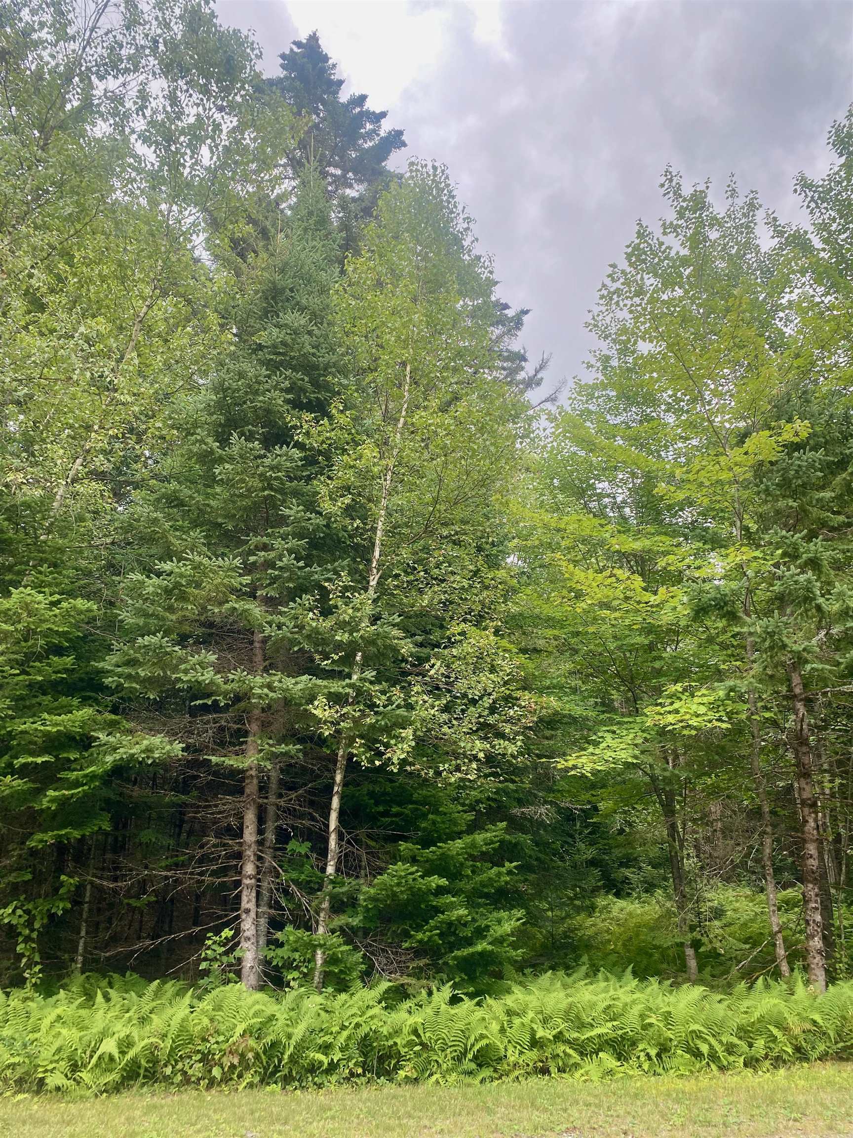 B4-L18 Moose Muck Road