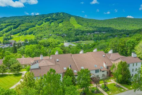 36C North Access Road 703 Dover VT 05356