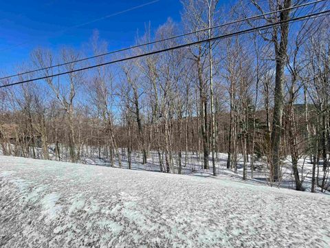 37-075 East Mountain Road Lot 10 Killington VT 05751