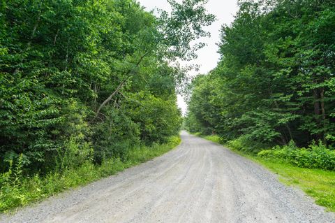 34 Woodsman Road Dover VT 05356
