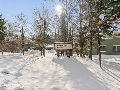 53 Amber Way B3 Warren VT 05674