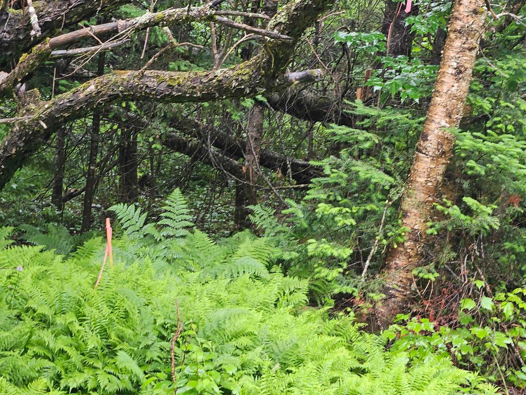 Photo of 15 Hadley Road, Sugar Hill, NH 03586 (MLS # 5001915)