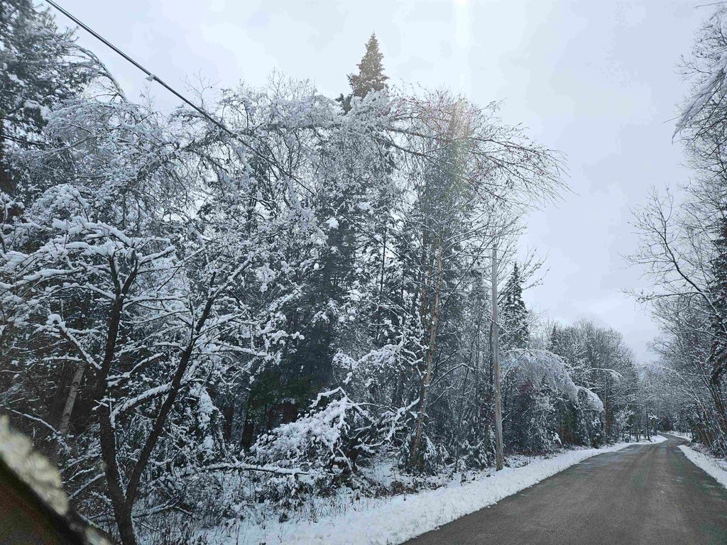 Photo of 15 Hadley Road, Sugar Hill, NH 03586 (MLS # 5001915)