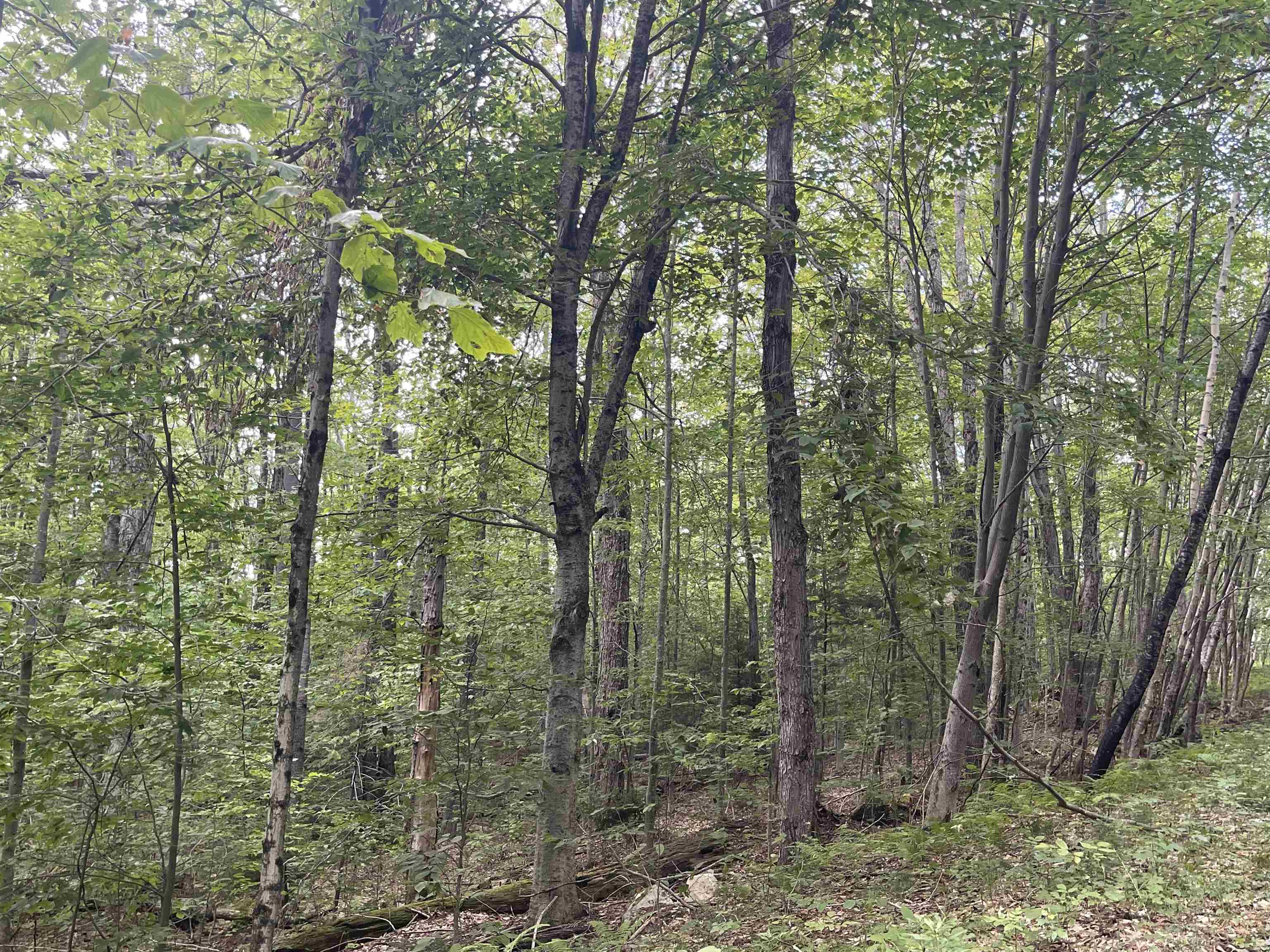 0000 Wonder Lane Lot 18