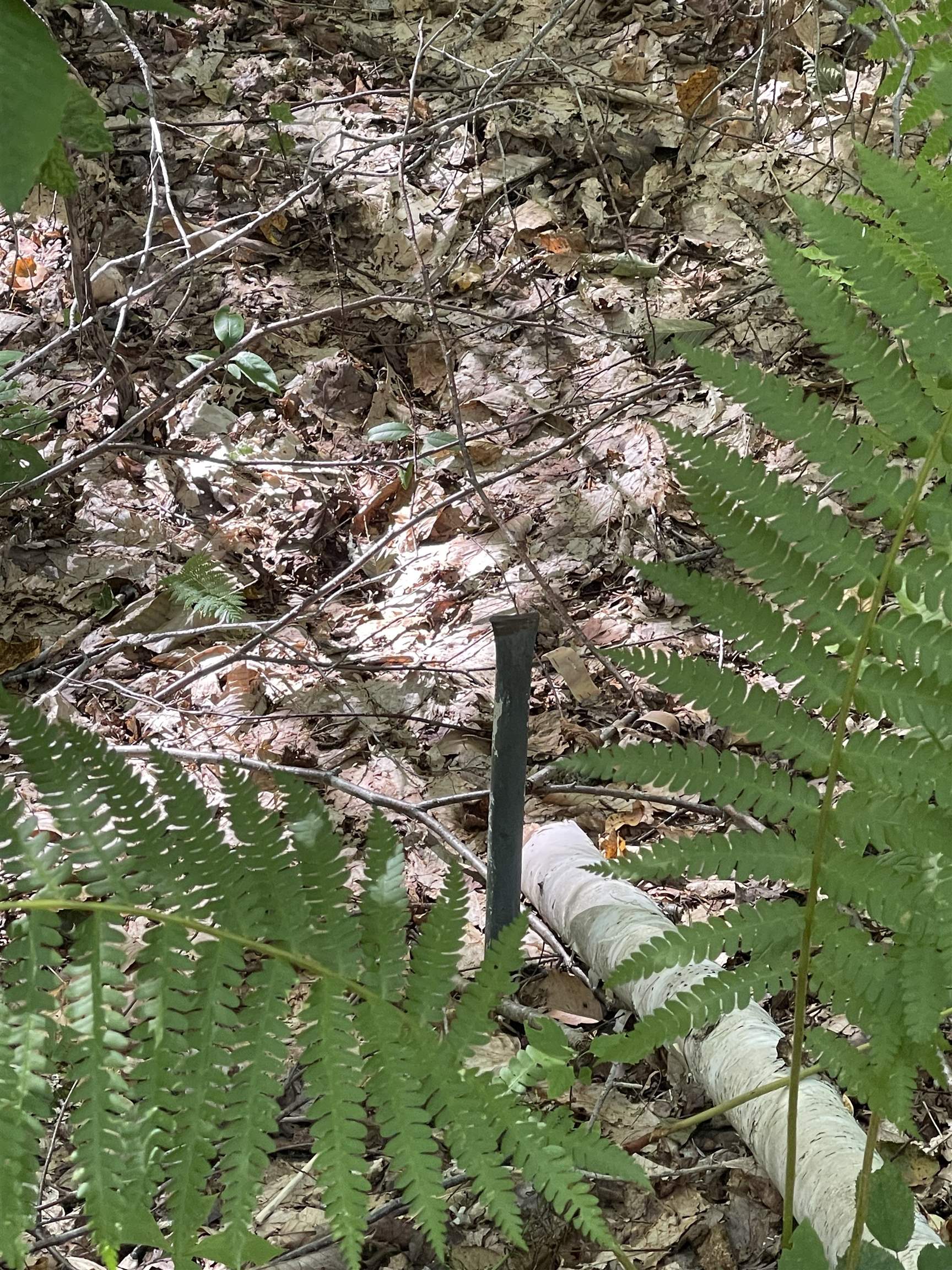 0000 Wonder Lane Lot 18