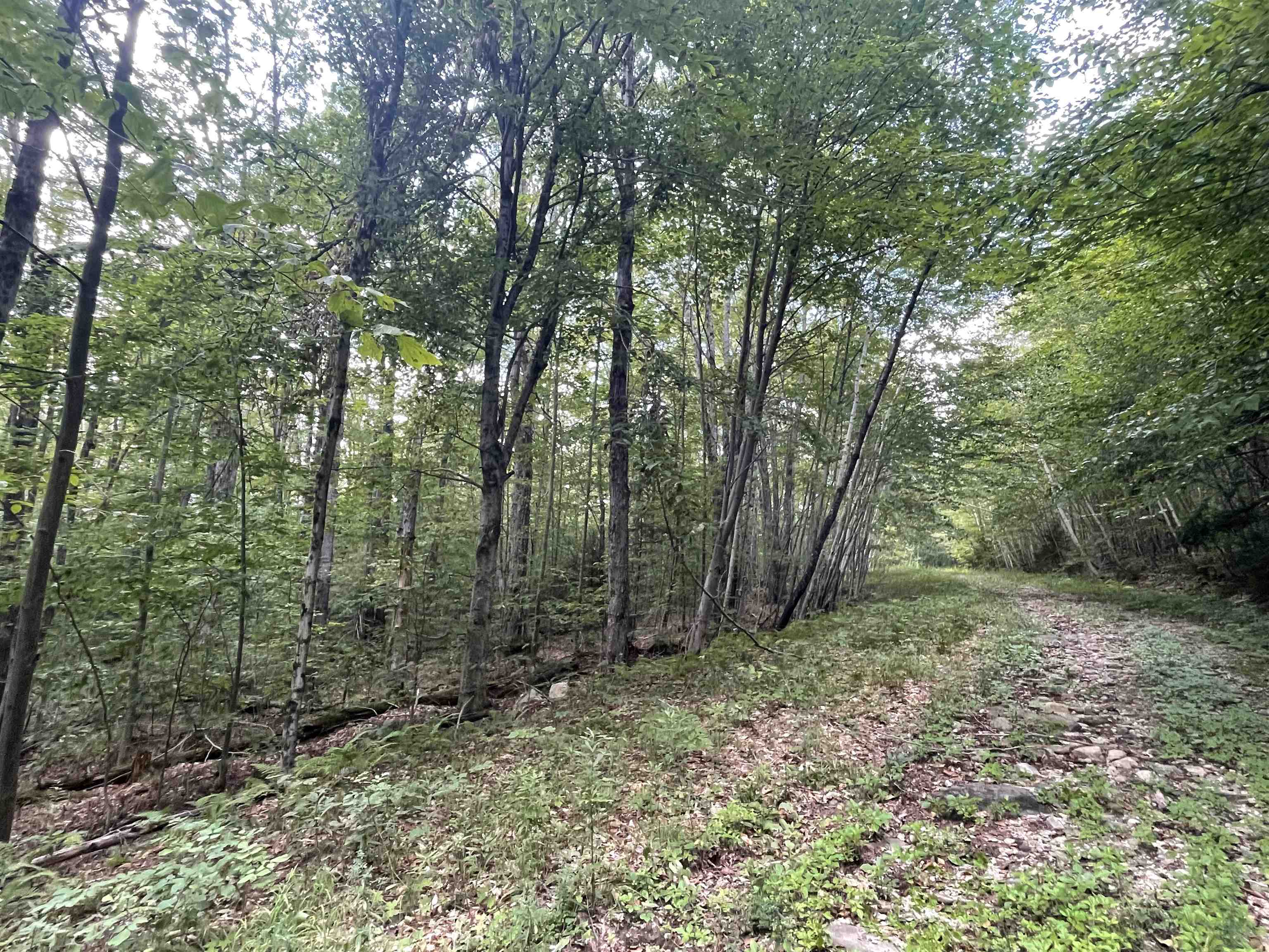 0000 Wonder Lane Lot 18