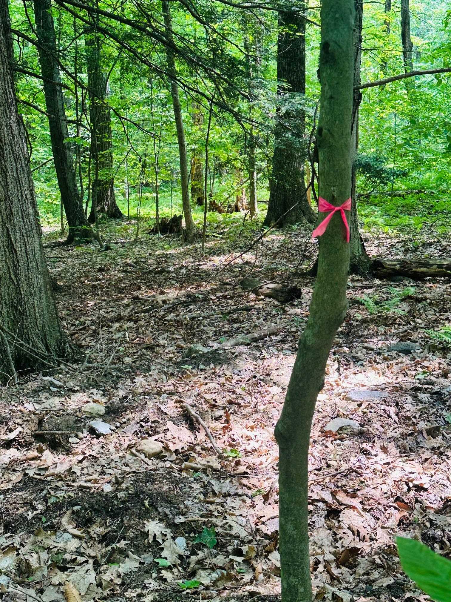 123 Rte 5 LOT #2