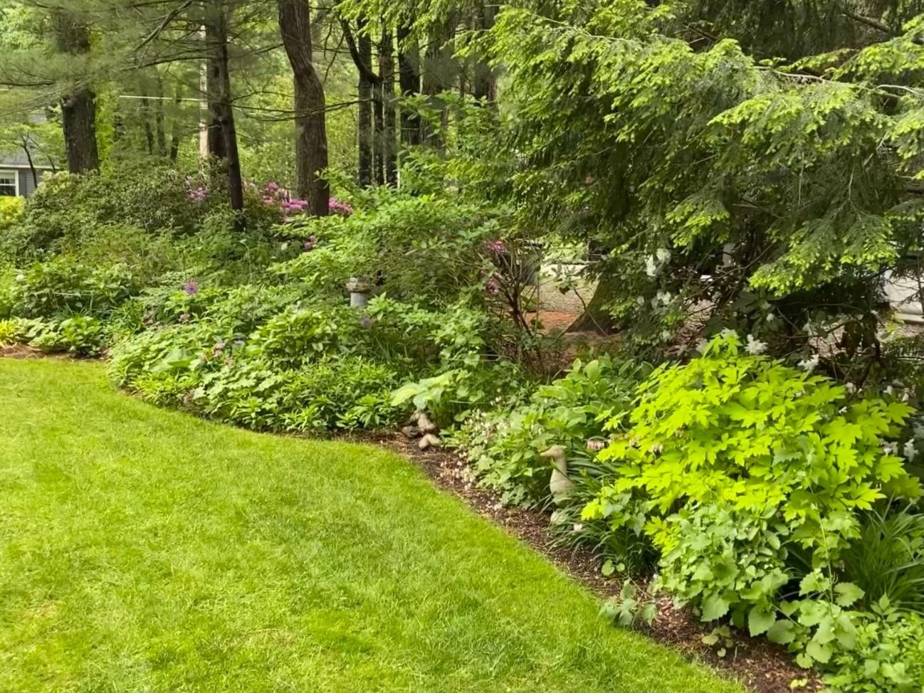 Plaistow, New Hampshire 03865, United States, 3 Bedrooms Bedrooms, ,2 BathroomsBathrooms,Residential,Pending,21025