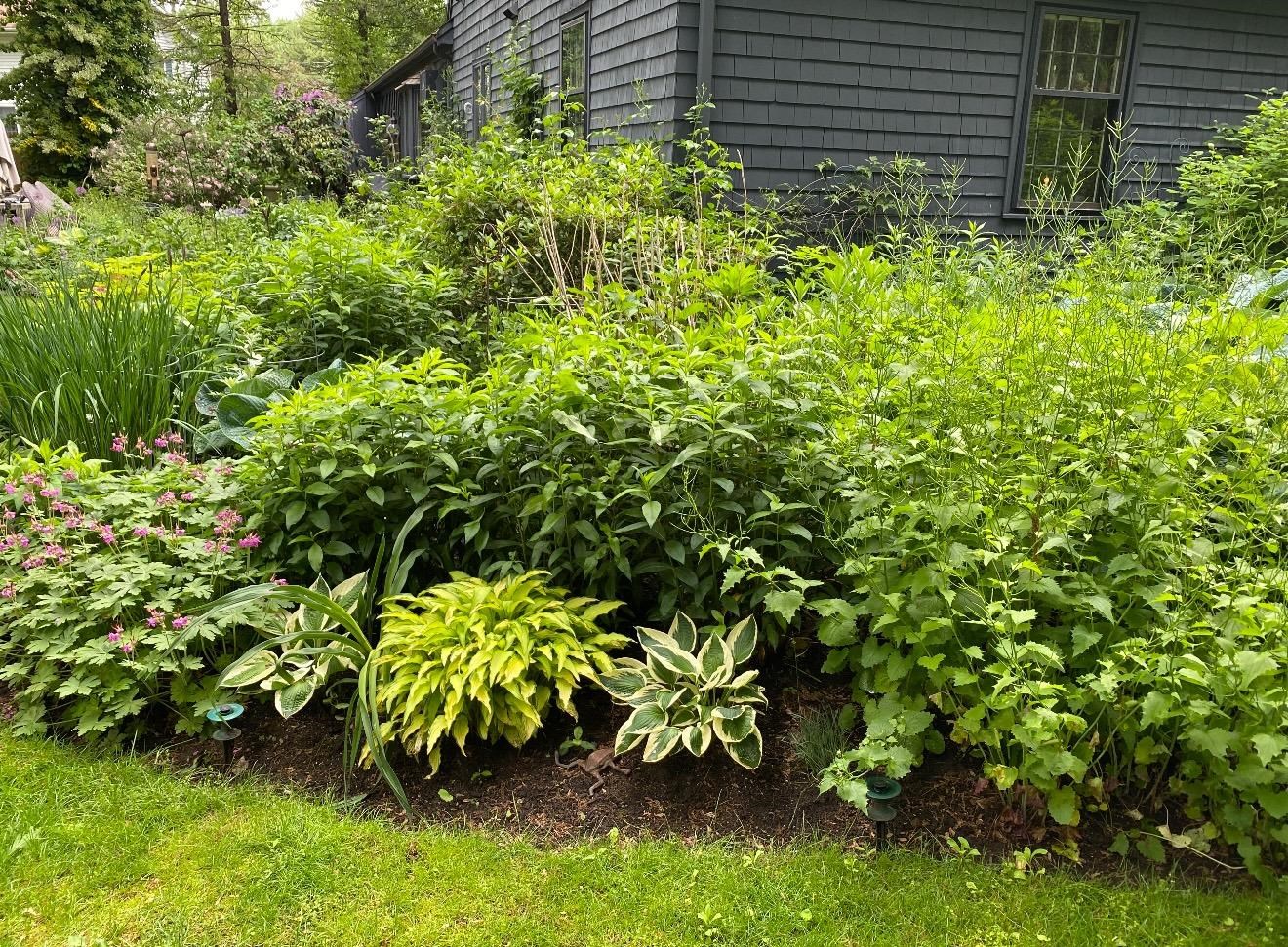 Plaistow, New Hampshire 03865, United States, 3 Bedrooms Bedrooms, ,2 BathroomsBathrooms,Residential,Pending,21025